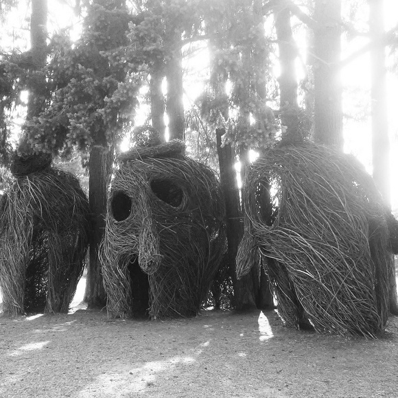 Meet your Posher, Shannon - Picture 3 of 8